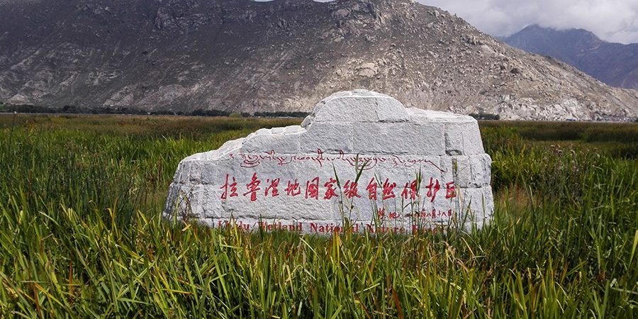 TIBET WETLAND PARK BOARDWALK