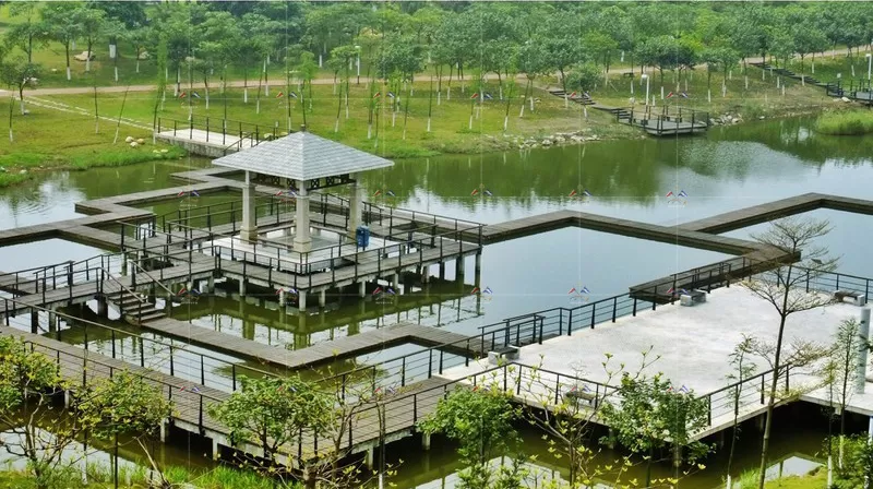 The manufacturer supplies floating bridges The manufacturer supplies floating bridges